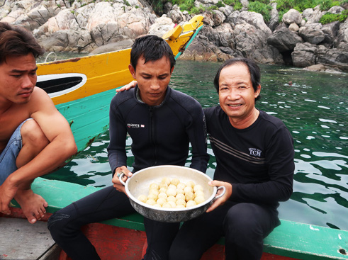 Chuyện lạ: Rùa đẻ trứng dưới nước