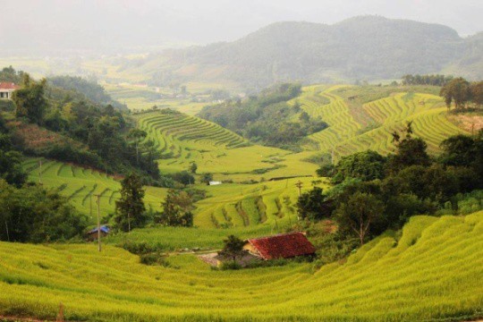 Lạc lối ở Bình Liêu mùa cỏ cháy - Ảnh 4.