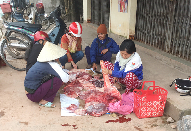 
Nhiều hộ chăn nu&ocirc;i heo đ&atilde; tự tay mổ heo b&aacute;n rẻ để trang trải cuộc sống
