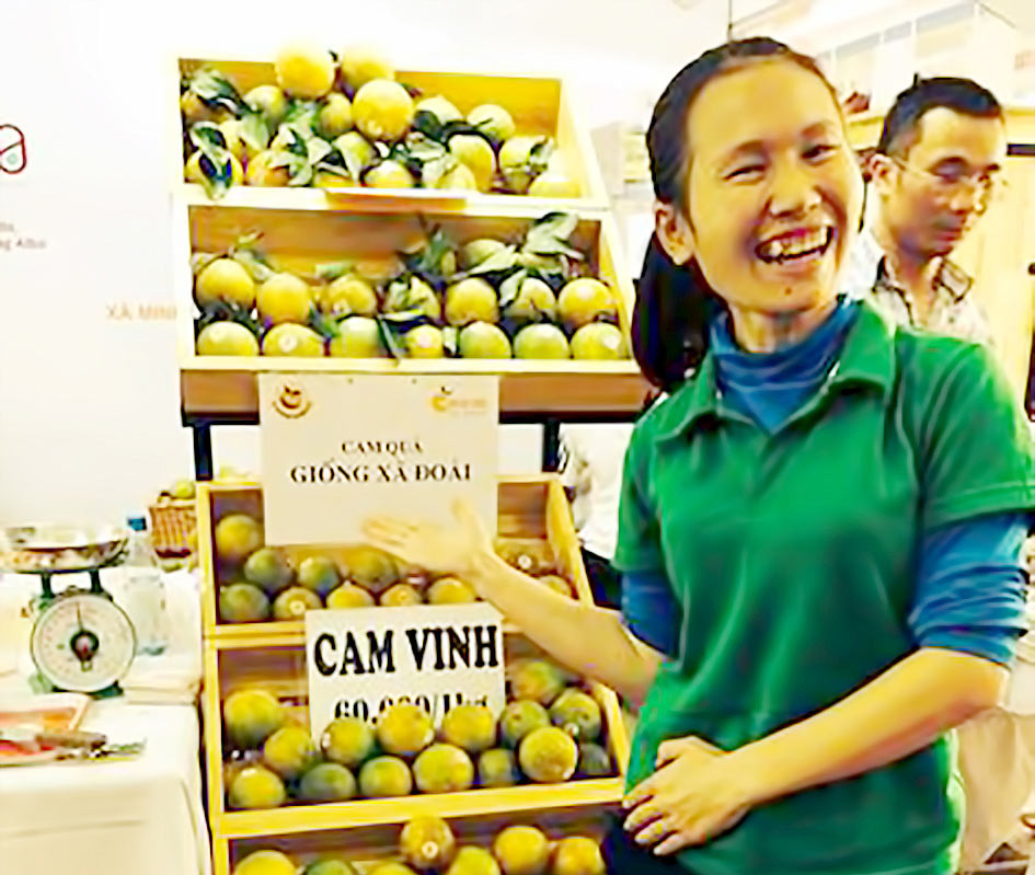 Khởi nghiệp với cam sinh thái