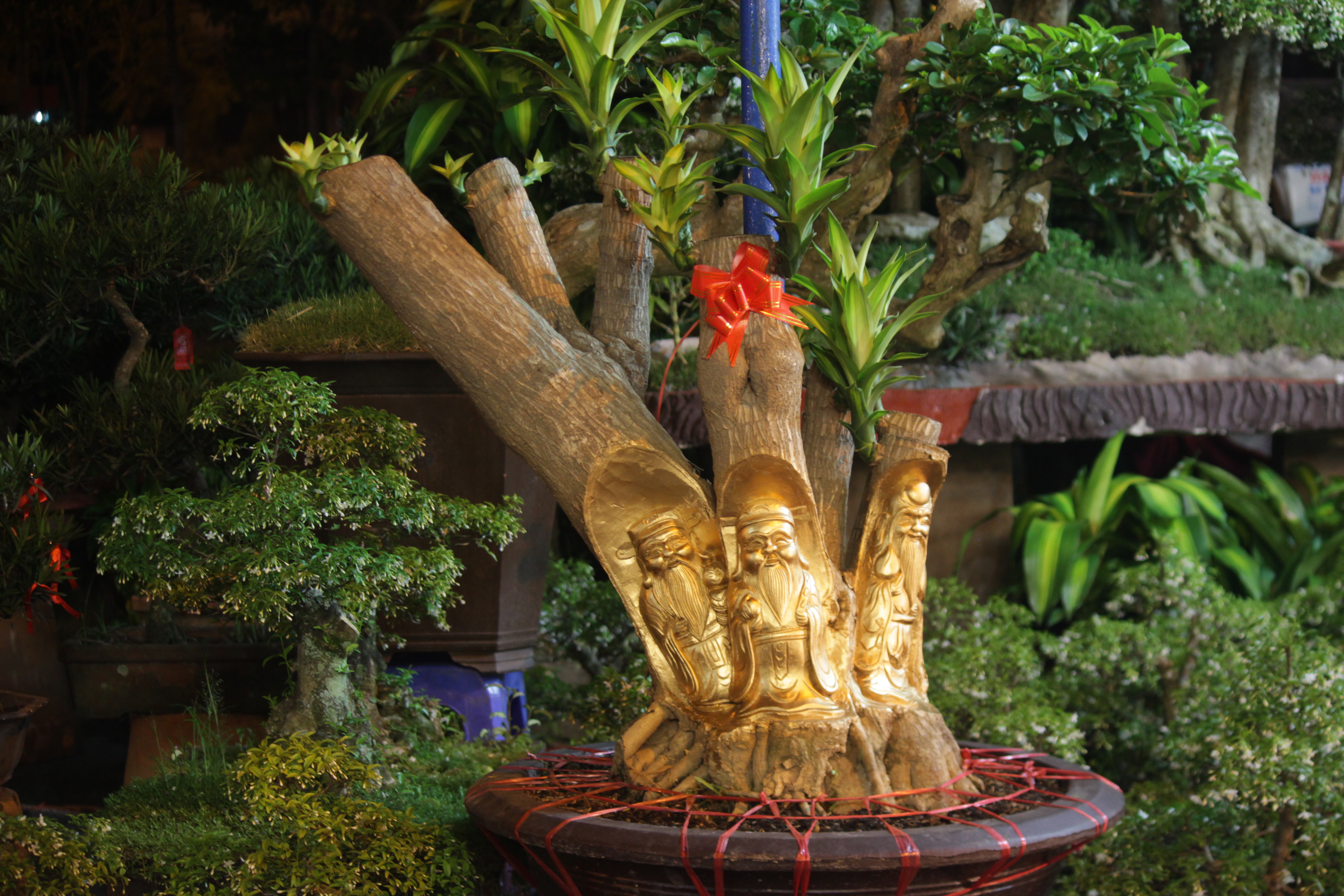 
Đi&ecirc;̉m đặc bi&ecirc;̣t của loại c&acirc;y này ở ch&ocirc;̃ người ngh&ecirc;̣ nh&acirc;n tạc những bức tượng vào th&acirc;n c&acirc;y nhưng v&acirc;̃n giữ cho c&acirc;y sinh trưởng, đ&acirc;m m&acirc;̀m phát tri&ecirc;̉n.
