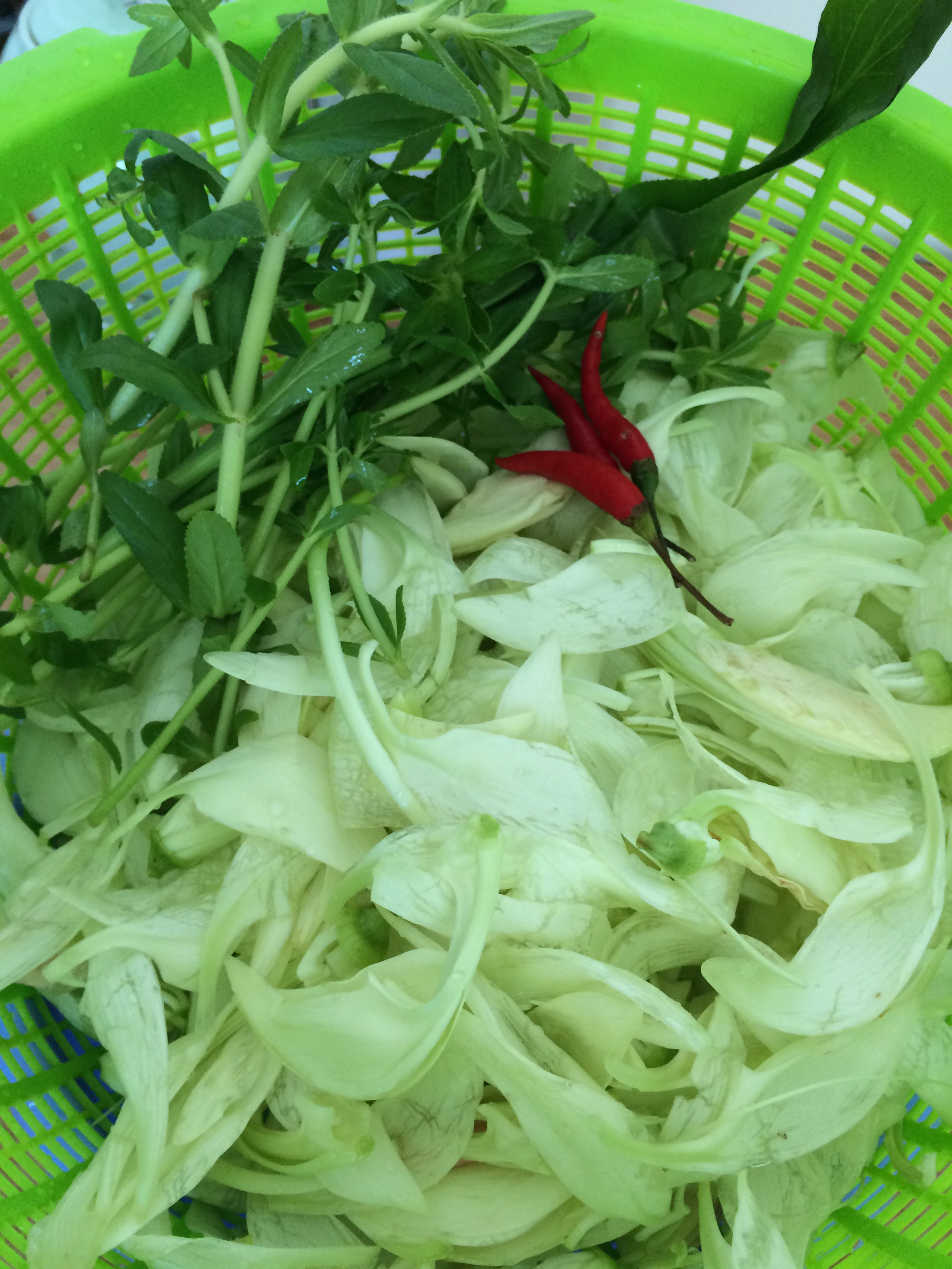 Bông so đũa