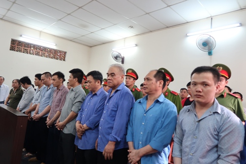 Nhiều người đi miền Tây sụp bẫy băng "mặt rô"