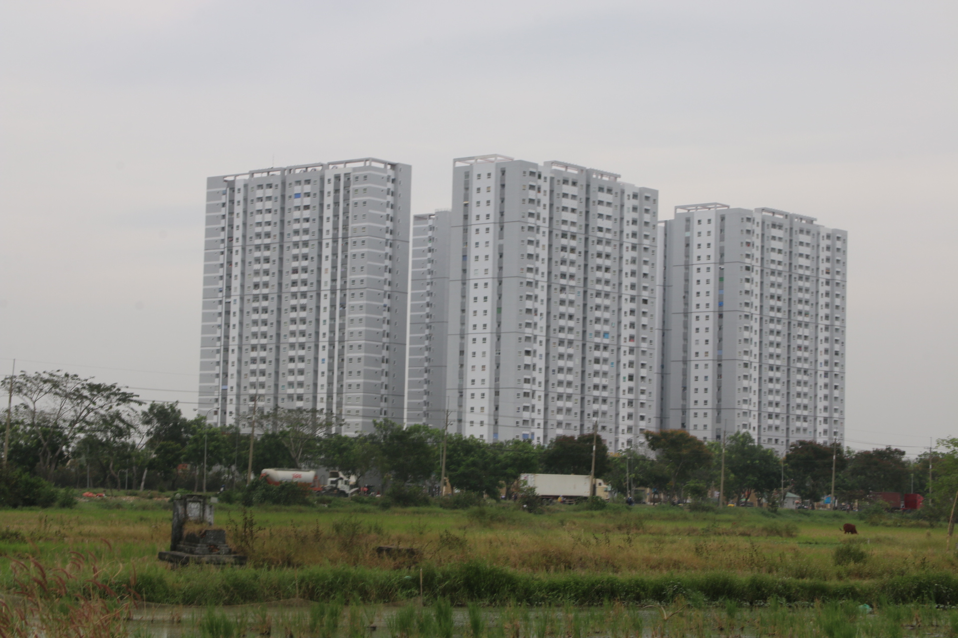 Một dự &aacute;n NƠXH tại đường Nguyễn Văn Linh (huyện B&igrave;nh Ch&aacute;nh, TP HCM) đang ch&agrave;o b&aacute;n.