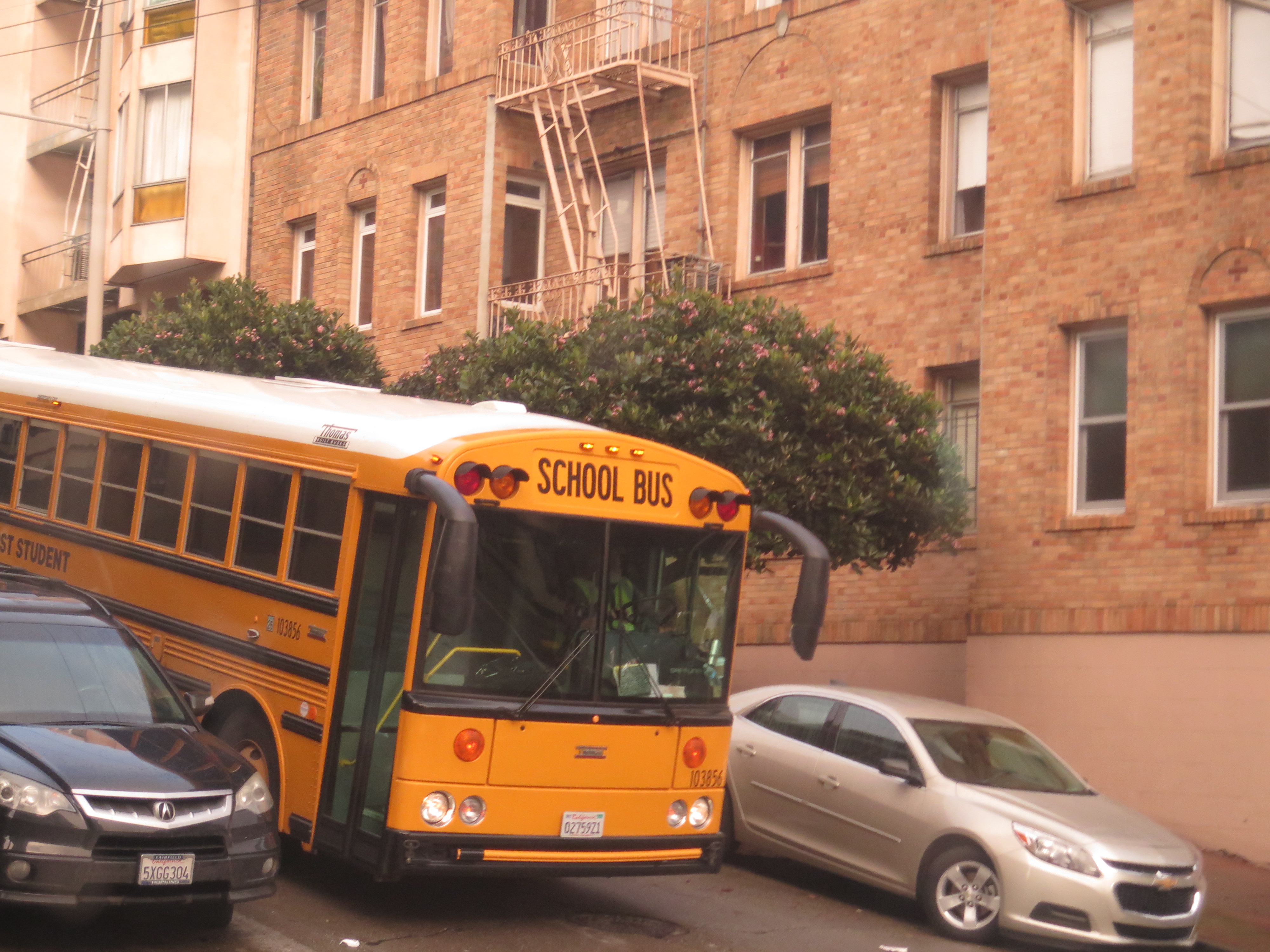 Đến San Francisco nghe chuyện người đồng t&iacute;nh! - Ảnh 3.