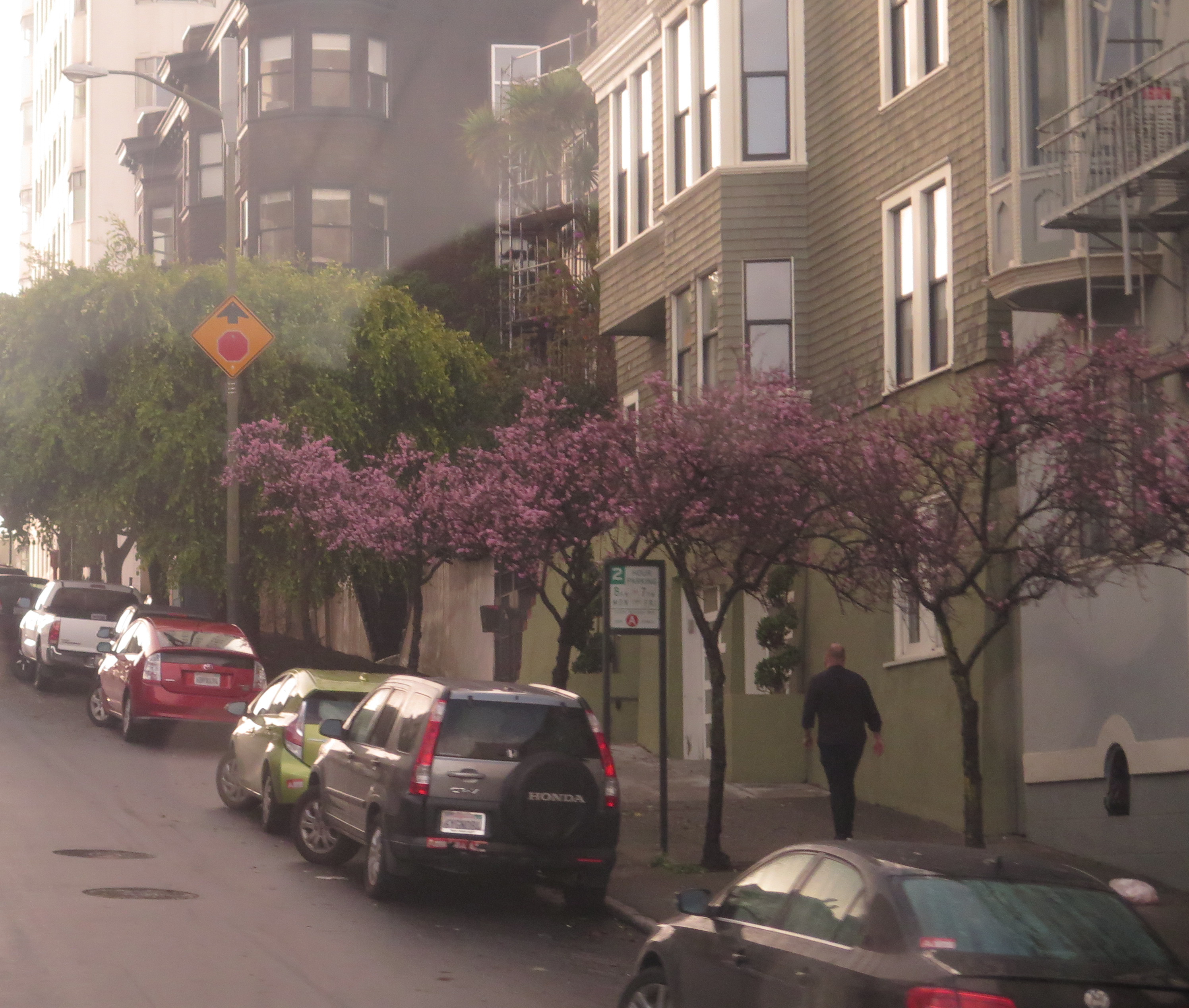 Đến San Francisco nghe chuyện người đồng t&iacute;nh! - Ảnh 4.