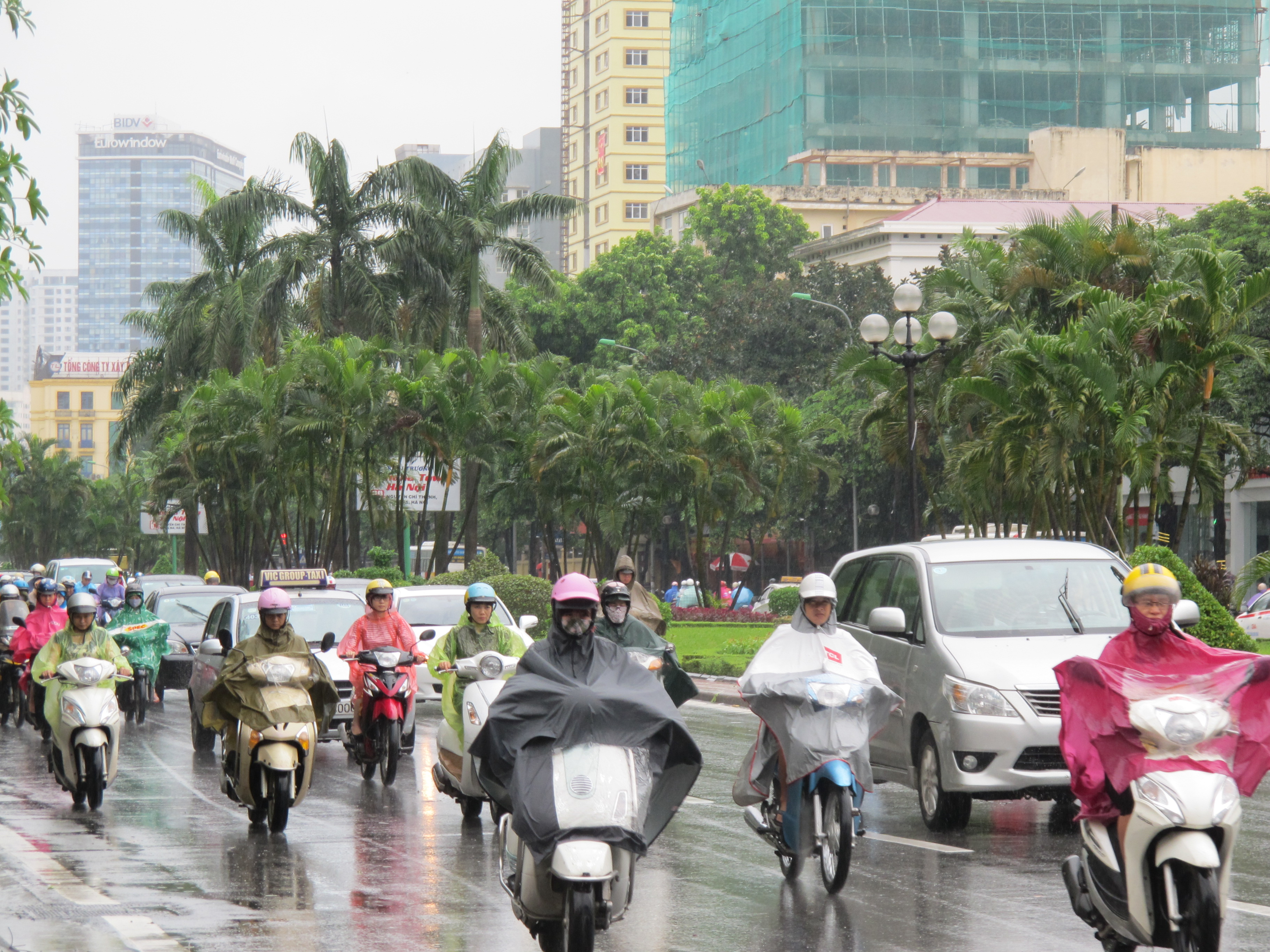 Bắc Bộ và Bắc Trung Bộ có mưa to đến rất to đầu mùa