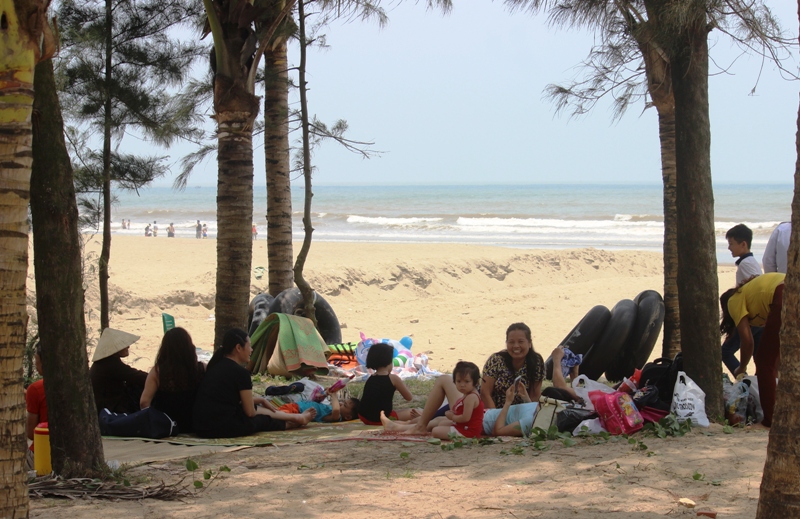 Nhiều người dân lân cận thành phố Sầm Sơn cũng về du lịch tranh thủ nghỉ trưa dưới tán dừa, phi lao