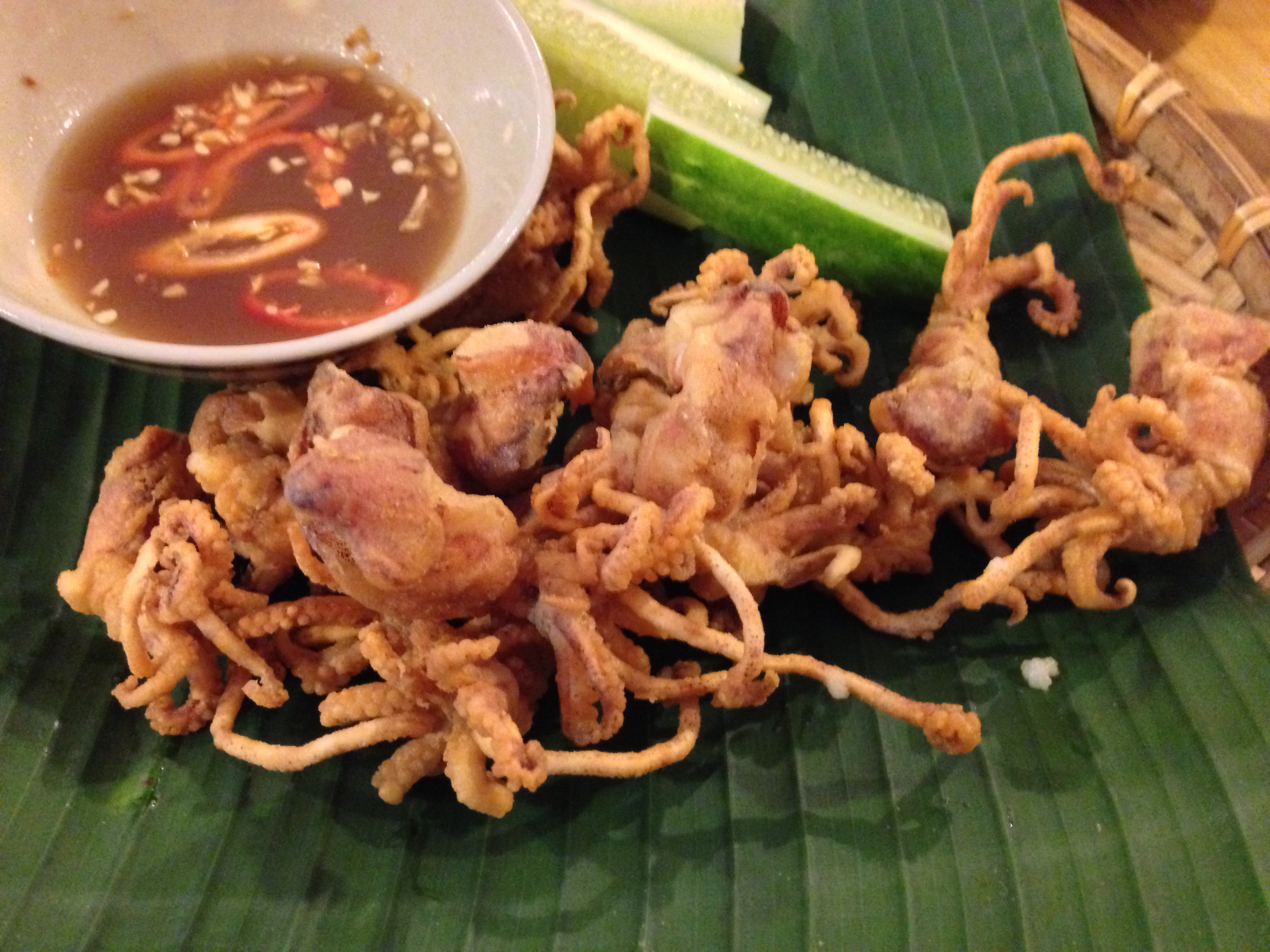 
Thơm ngon mực sữa chi&ecirc;n gi&ograve;n

