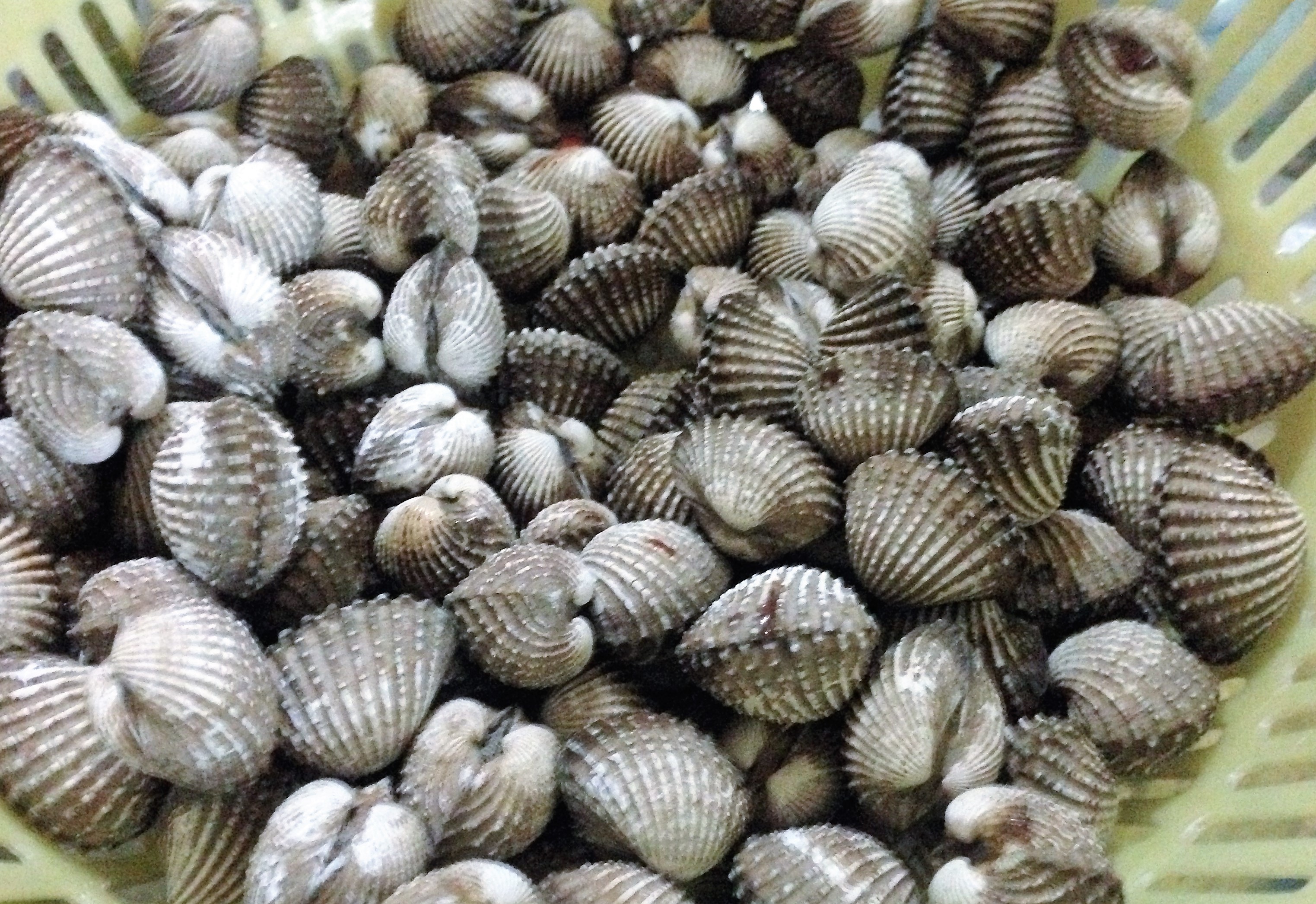 
S&ograve; huyết phải chọn loại tươi ngon
