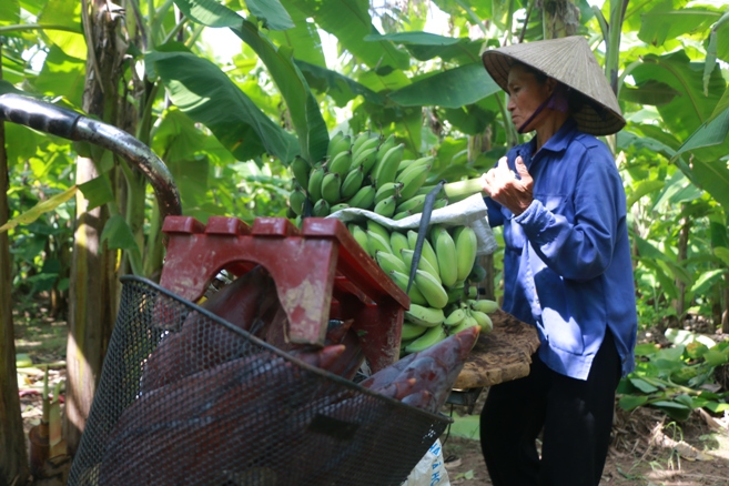Thủy điện Hòa Bình xả đáy, dân xóm chài sông Hồng thấp thỏm - Ảnh 9.