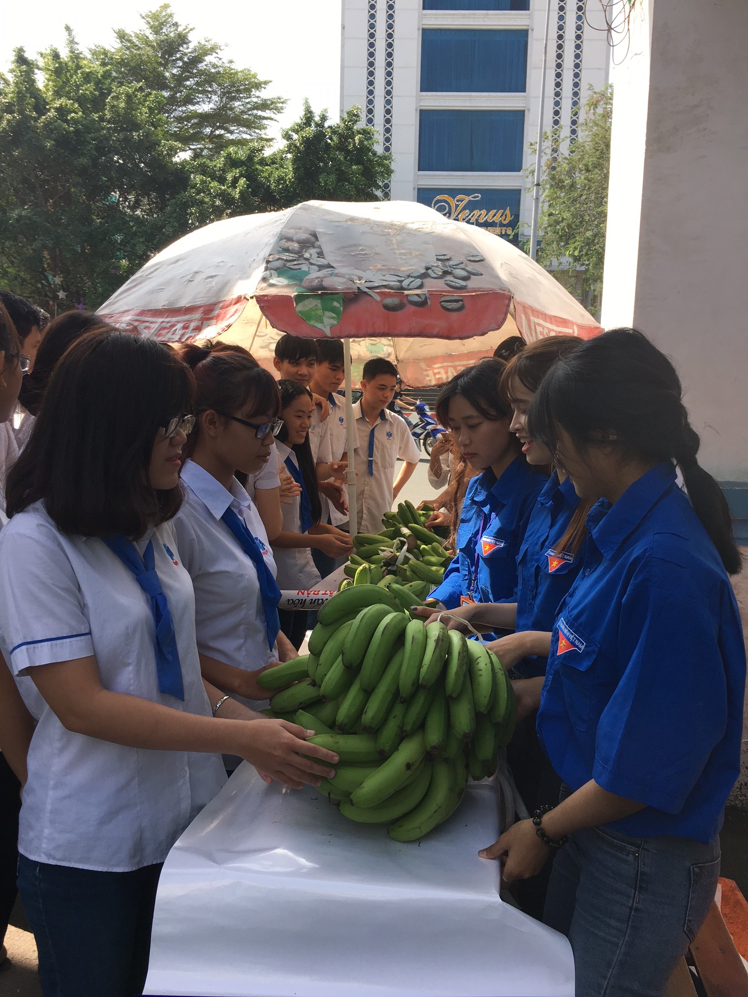 Sinh viên mua 1 tấn chuối trong 2 giờ giúp nông dân Đồng Nai
