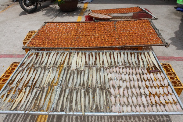 Phơi khô cá trên đảo