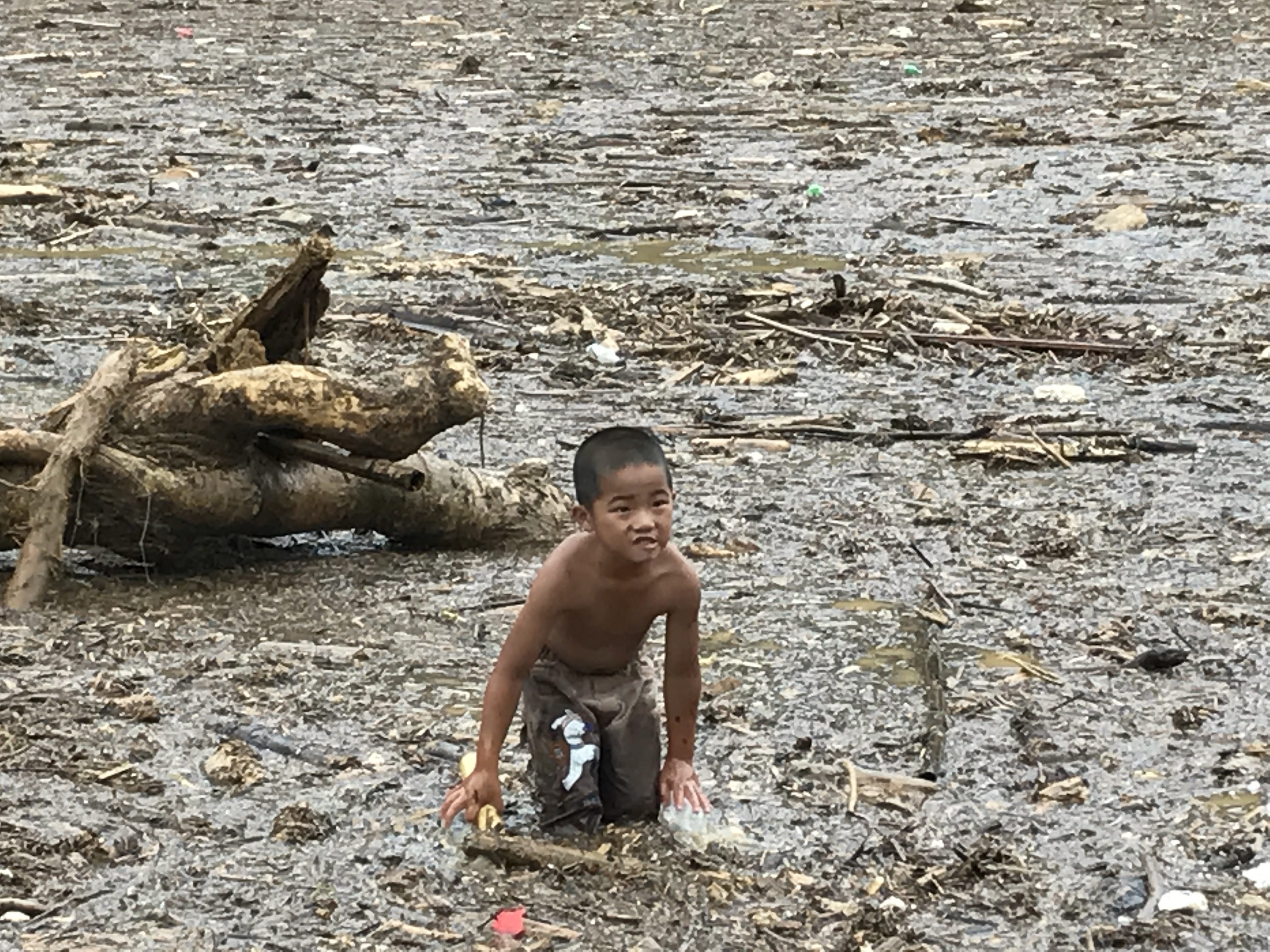 Người gi&agrave;, trẻ nhỏ M&ugrave; Cang Chải bơi ra giữa d&ograve;ng nước lũ vớt củi - Ảnh 8.