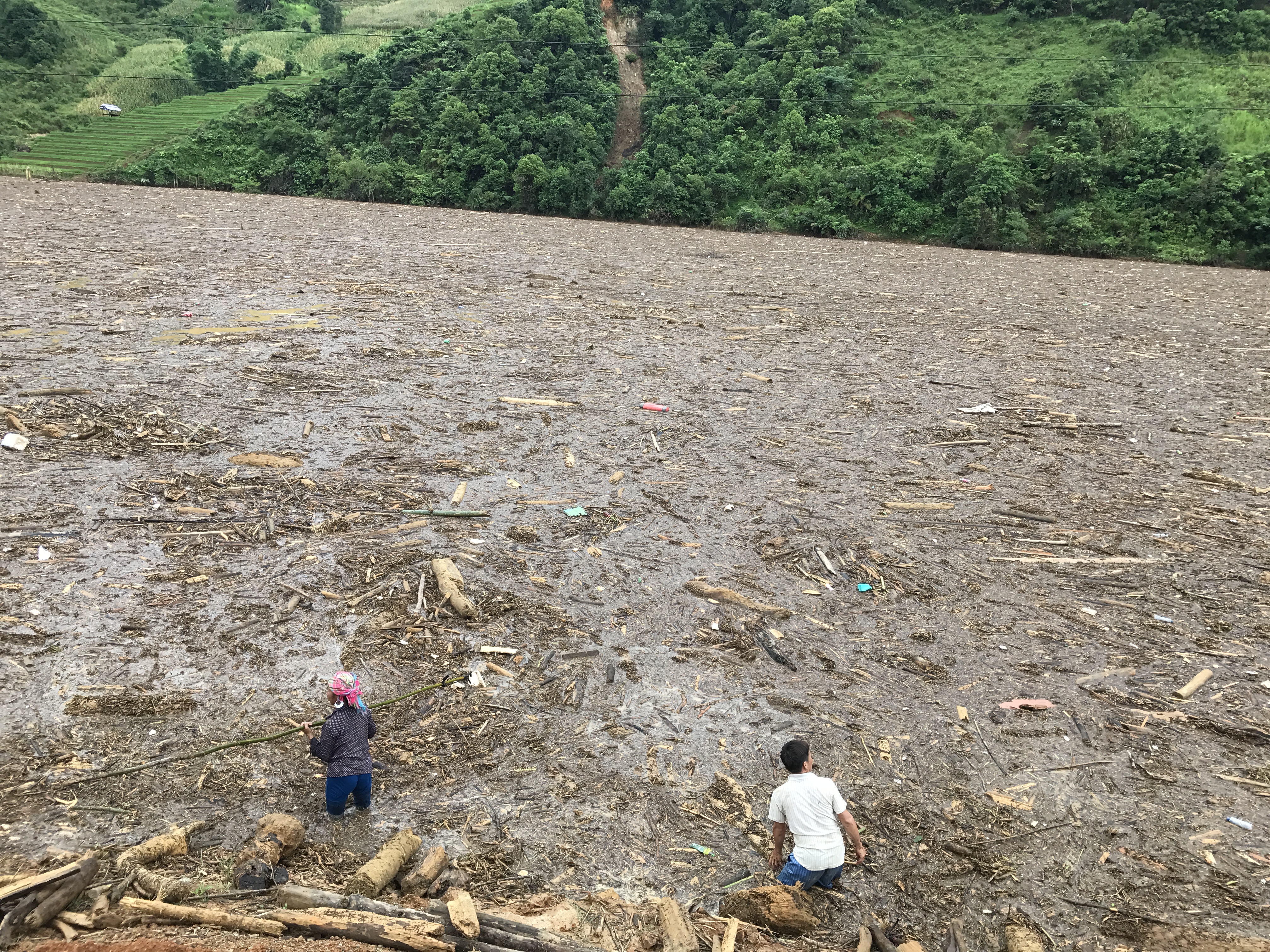 Người gi&agrave;, trẻ nhỏ M&ugrave; Cang Chải bơi ra giữa d&ograve;ng nước lũ vớt củi - Ảnh 10.