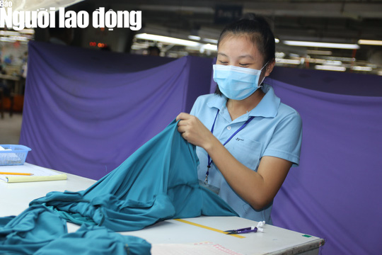 Sớm luật h&oacute;a tiền lương tối thiểu - Ảnh 1.