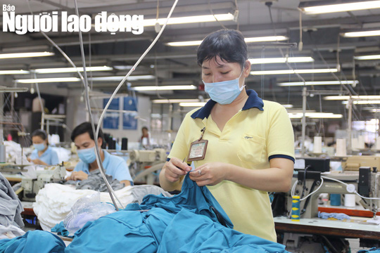 Thanh tra doanh nghiệp nợ BHXH, BHYT từ 6 tháng trở lên