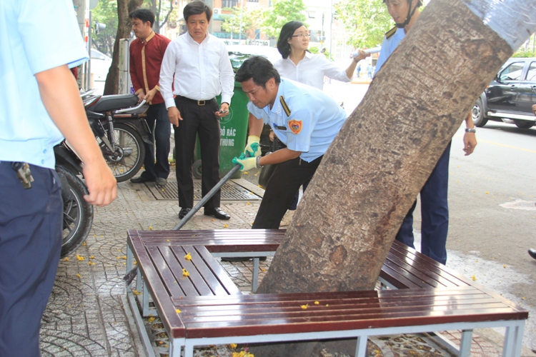 Ông Đoàn Ngọc Hải, Phó Chủ tịch UBND quận 1, chỉ đạo lực lượng chức năng tháo dỡ một chiếc ghế đóng khung quanh gốc cây