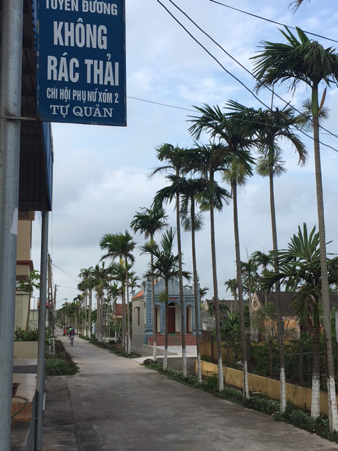 Ngỡ ngàng những con đường hoa rực rỡ làng quê miền Bắc - Ảnh 36.