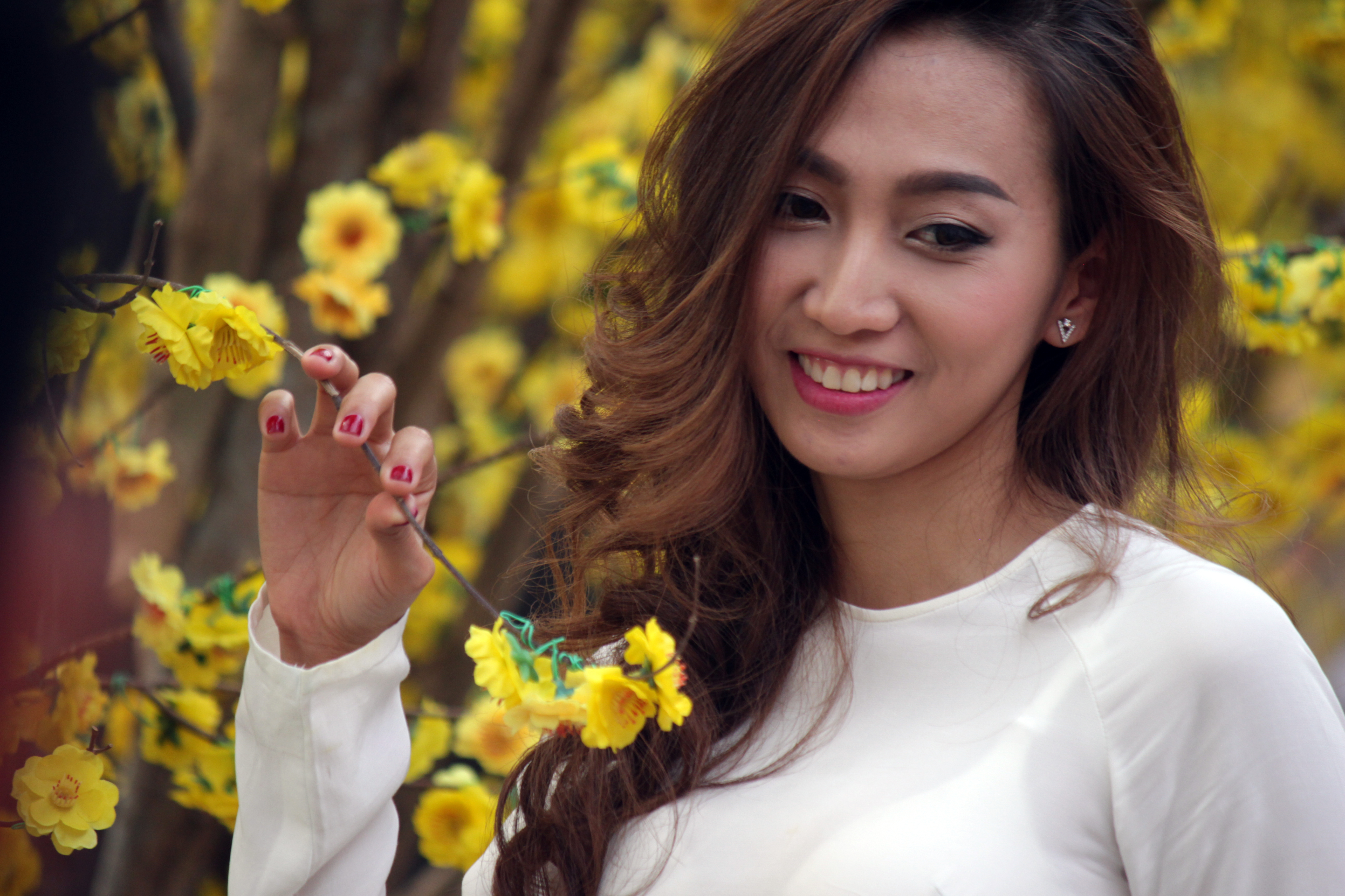 M&ocirc;̣t c&ocirc; gái tạo dáng dịu dàng b&ecirc;n hoa mai với tà áo dài trắng truy&ecirc;̀n th&ocirc;́ng tinh kh&ocirc;i.