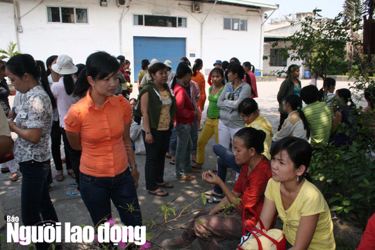 Khởi kiện doanh nghiệp nợ BHXH bế tắc