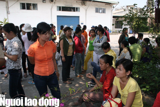 Chuyển hồ sơ DN nợ BHXH cho công an và tòa án xử lý - Ảnh 1.