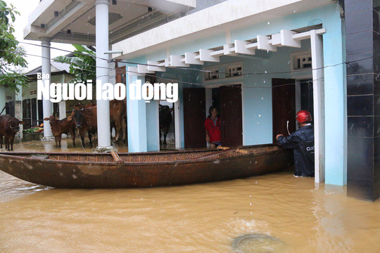 Lũ Quảng Ngãi vượt đỉnh lịch sử, Quảng Nam thêm 7 người chết