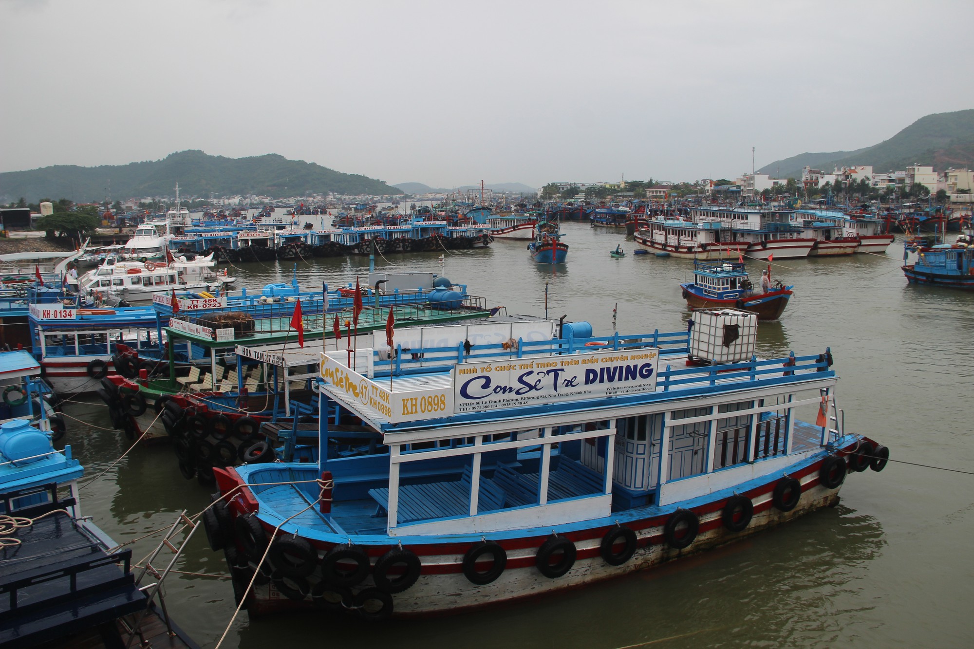 Qu&acirc;n khu V huy động 56.000 chiến sĩ gi&uacute;p d&acirc;n chống b&atilde;o 12 - Ảnh 1.