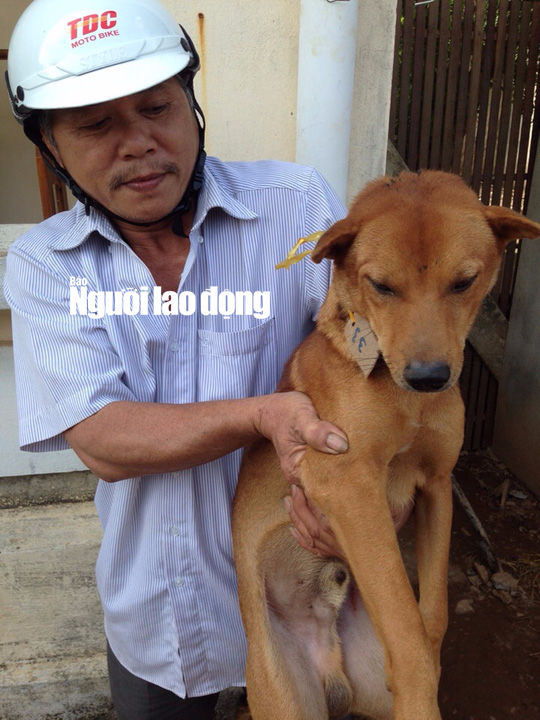 Bắt 3 cẩu tặc, hơn 10 người x&uacute;c động, bật kh&oacute;c khi nhận lại ch&oacute; - Ảnh 7.
