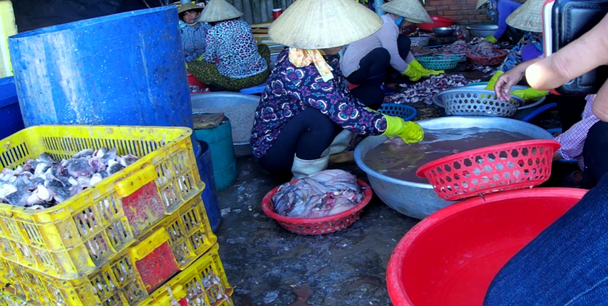Kiên quyết đóng cửa cơ sở chế biển hải sản dùng hóa chất