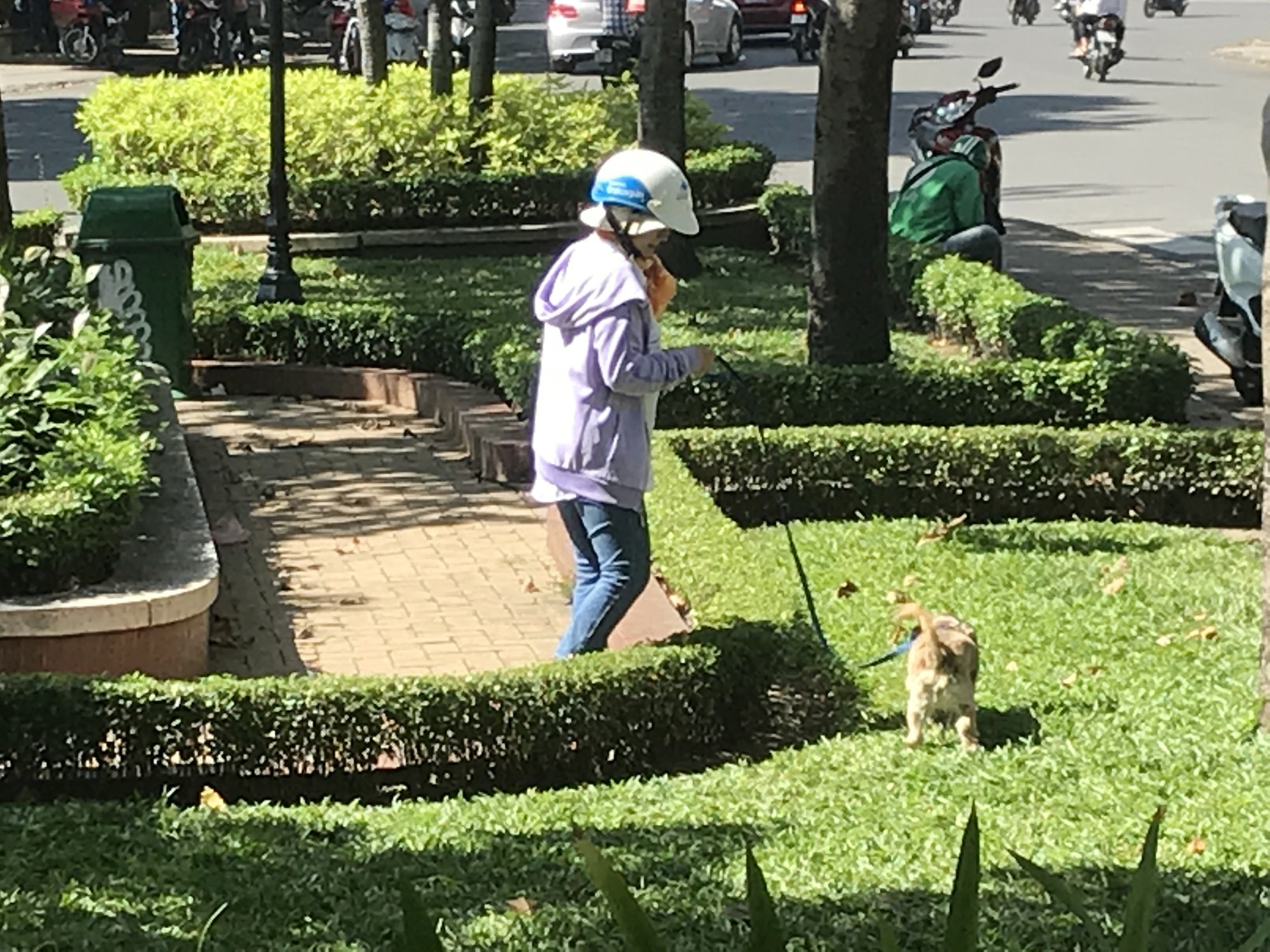 Lý giải chuyện cấm nuôi chó, mèo ở chung cư Sài Gòn