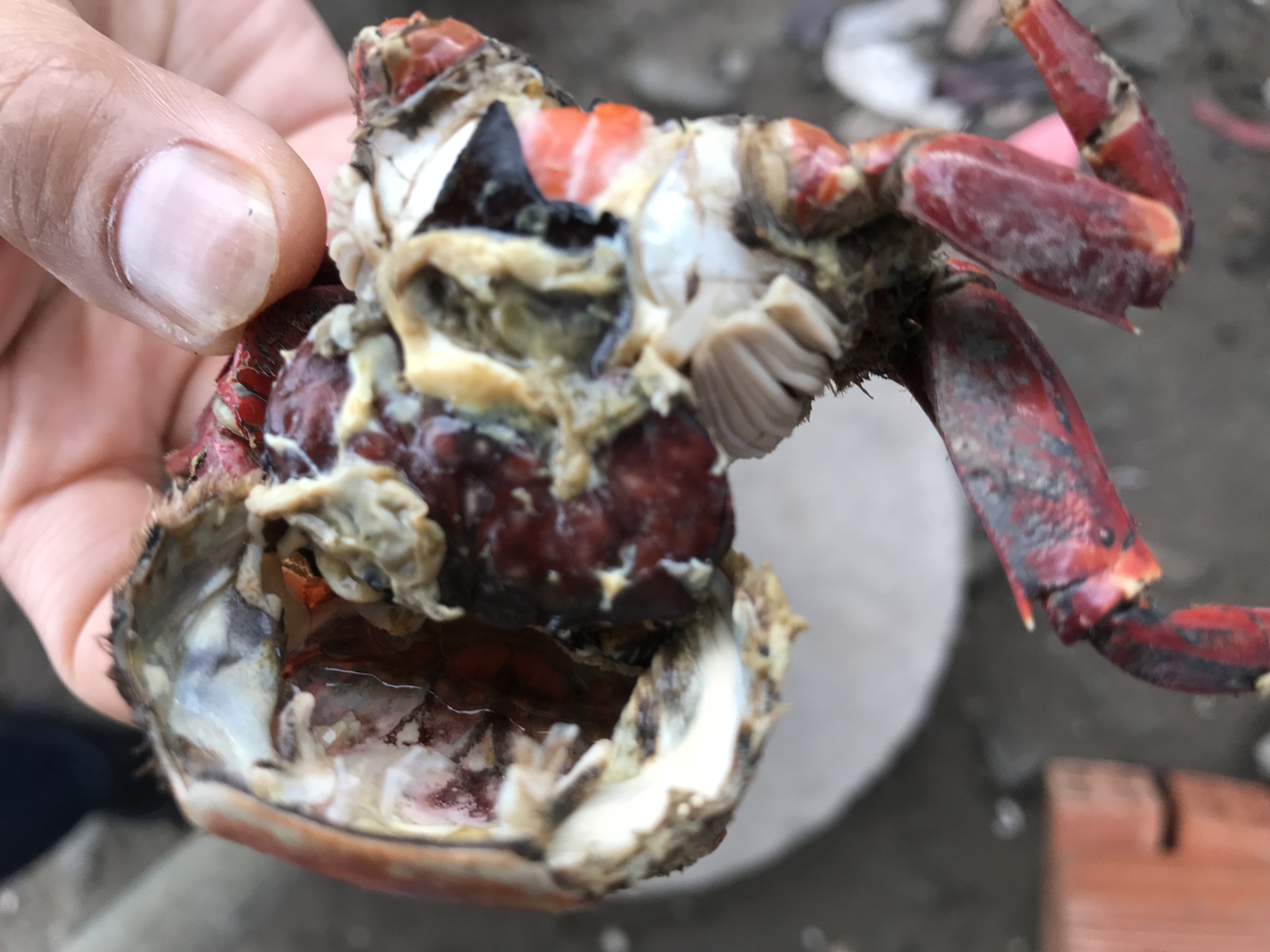 Nh&agrave; c&oacute; con chằm dằm rồi, kh&ocirc;ng cần ch&ugrave; ụ nữa. - Ảnh 10.