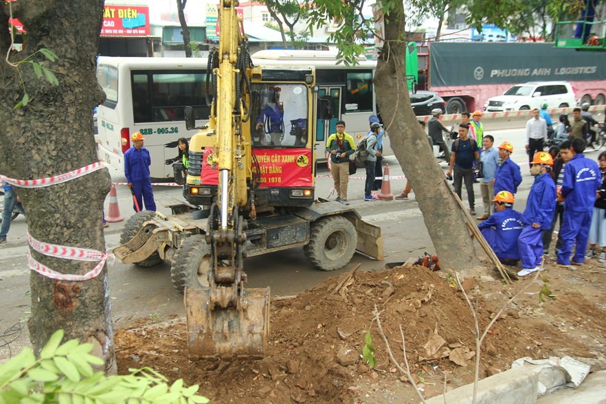 Bắt đầu chặt hạ gần 1.300 cây xanh trên đường Phạm Văn Đồng