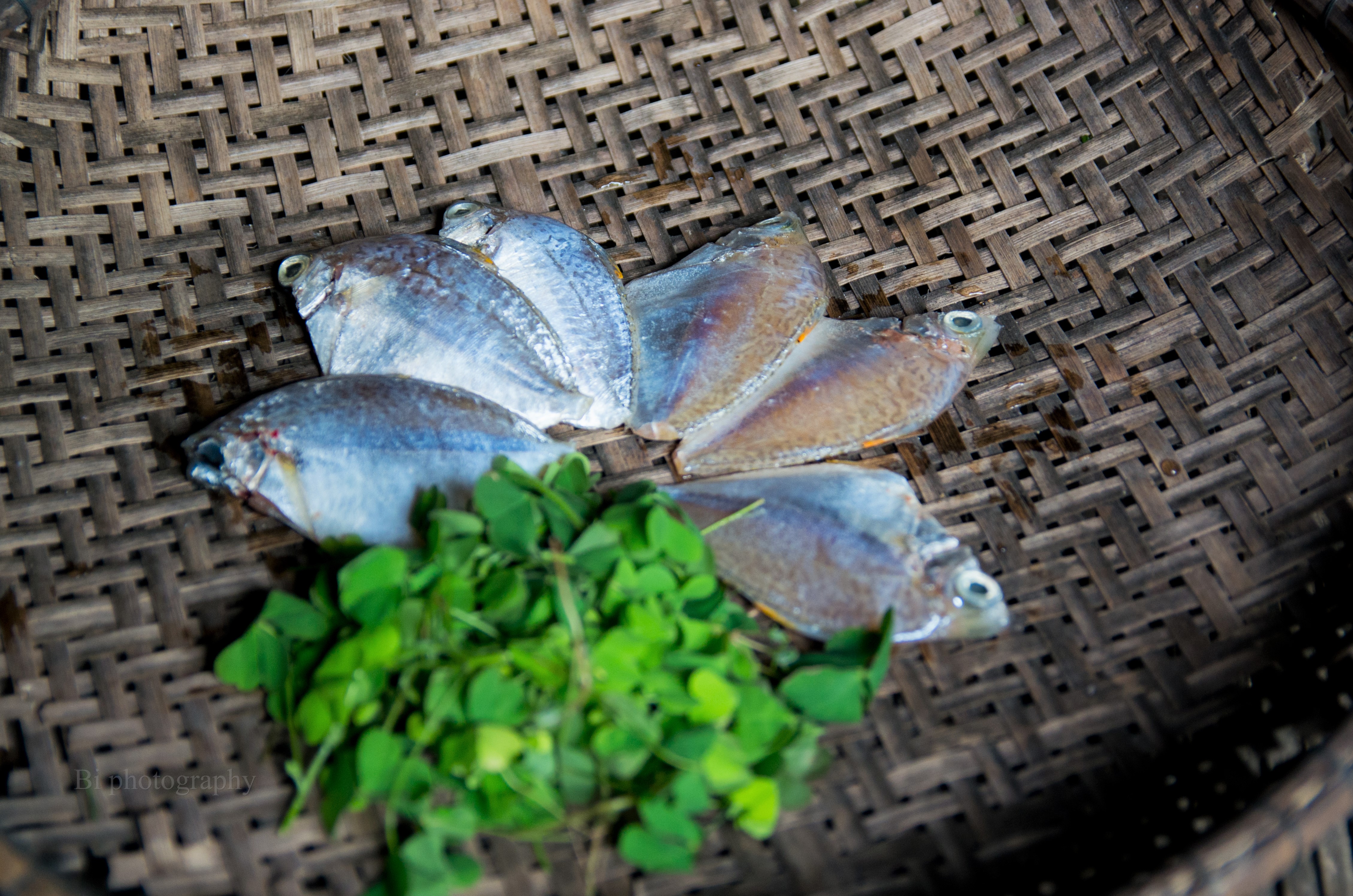 Cá liệt và me đất