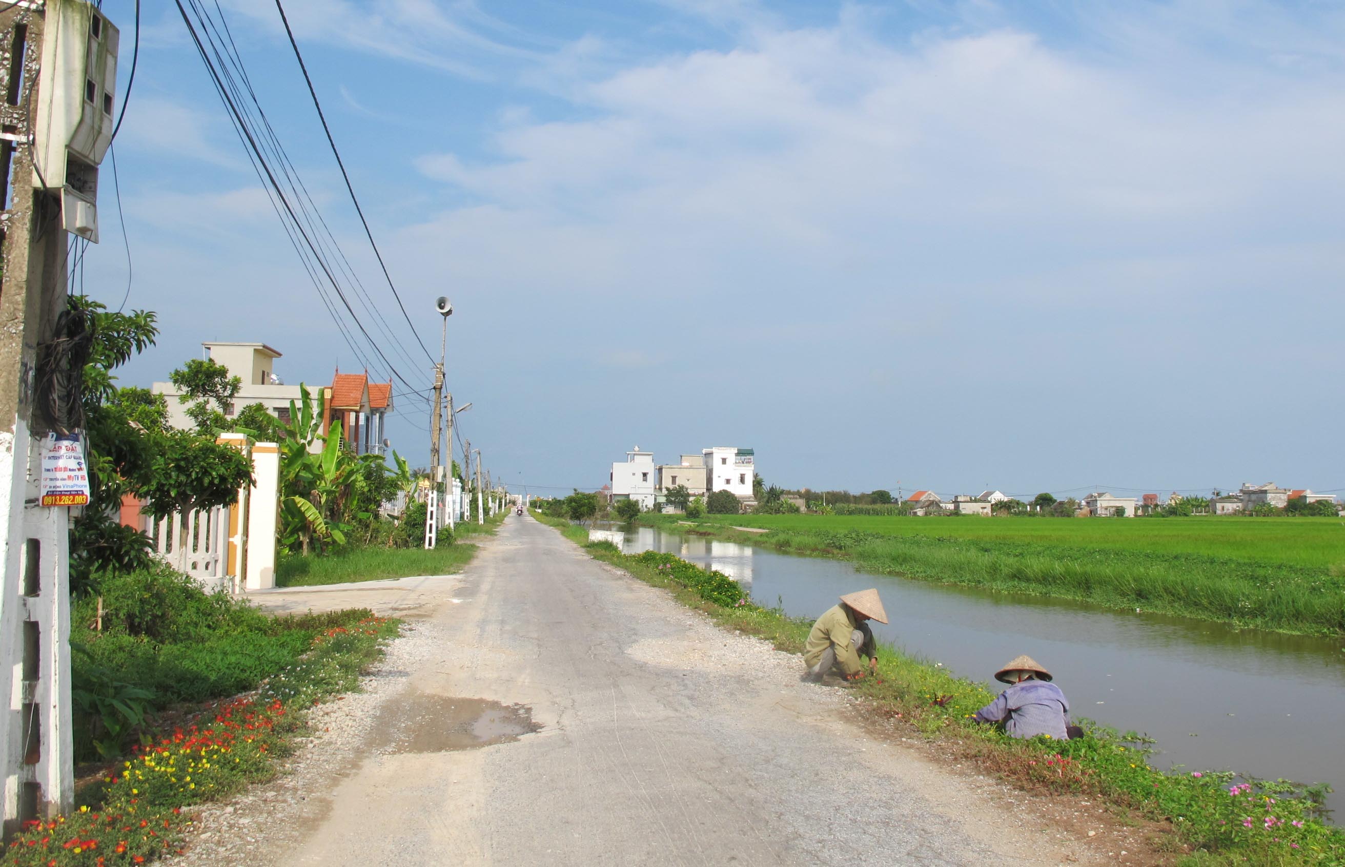 Ngỡ ngàng những con đường hoa rực rỡ làng quê miền Bắc - Ảnh 34.