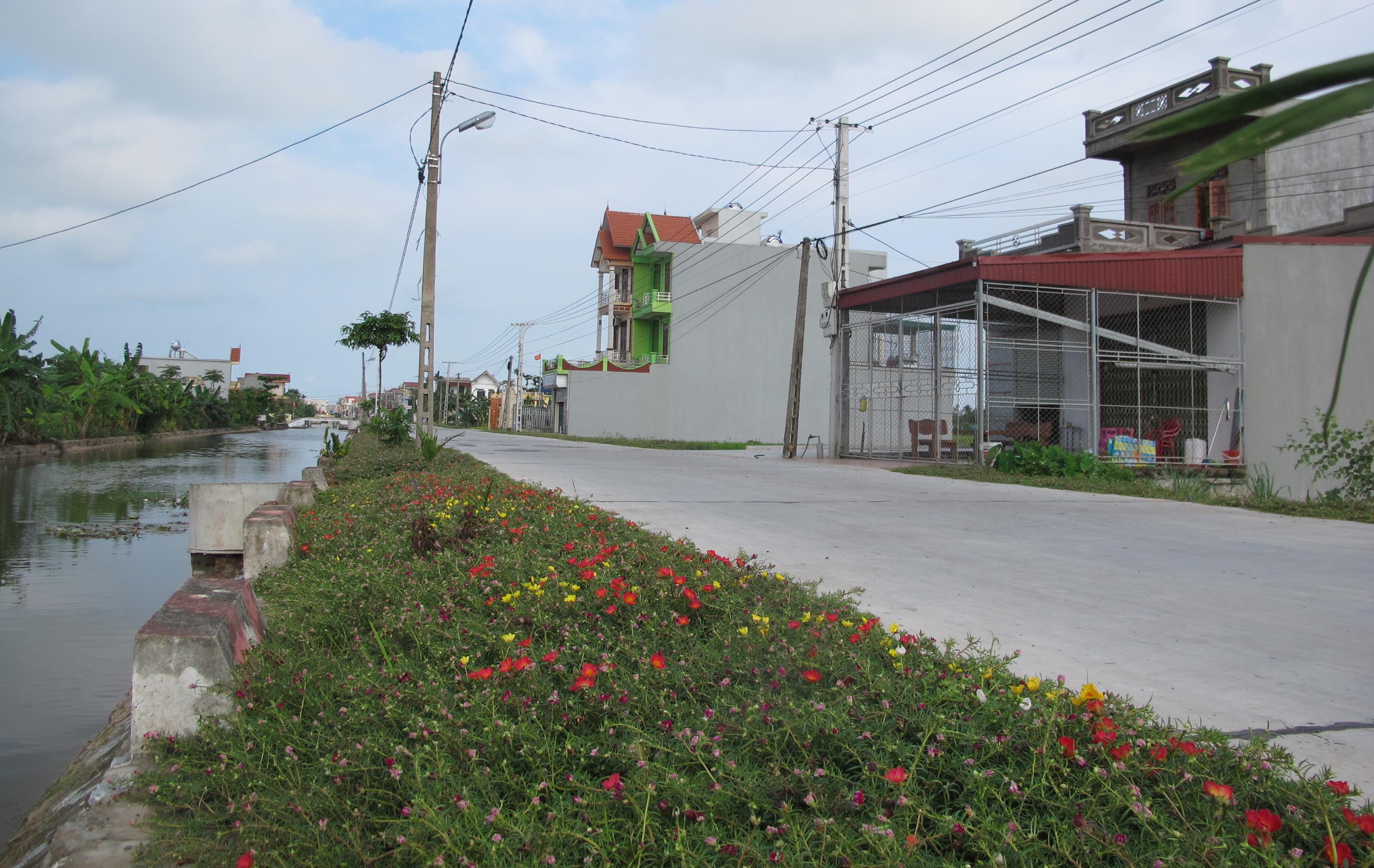 Ngỡ ngàng những con đường hoa rực rỡ làng quê miền Bắc - Ảnh 15.