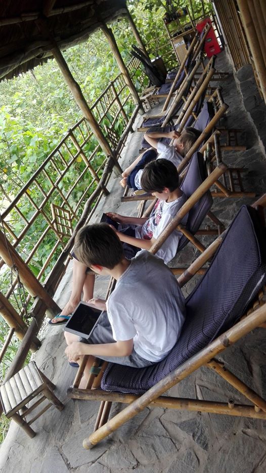 V&agrave;o m&ugrave;a tr&aacute;i c&acirc;y, du lịch miệt vườn h&uacute;t kh&aacute;ch - Ảnh 8.