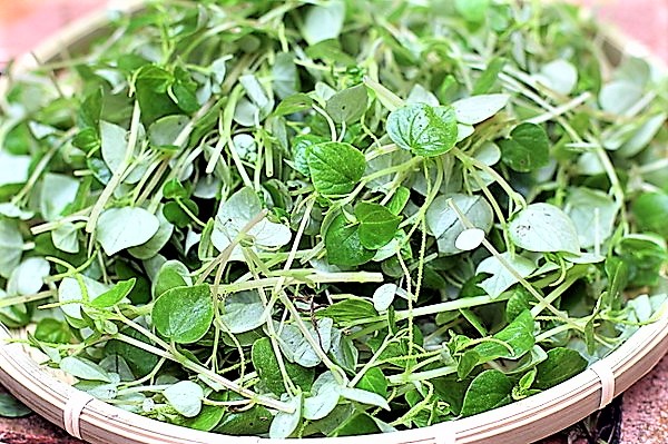 Trổ t&agrave;i l&agrave;m gỏi rau c&agrave;ng cua trộn dầu giấm - Ảnh 2.