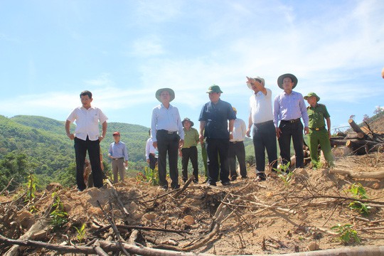 Kỷ luật chủ tịch và phó chủ tịch huyện để xảy ra phá rừng