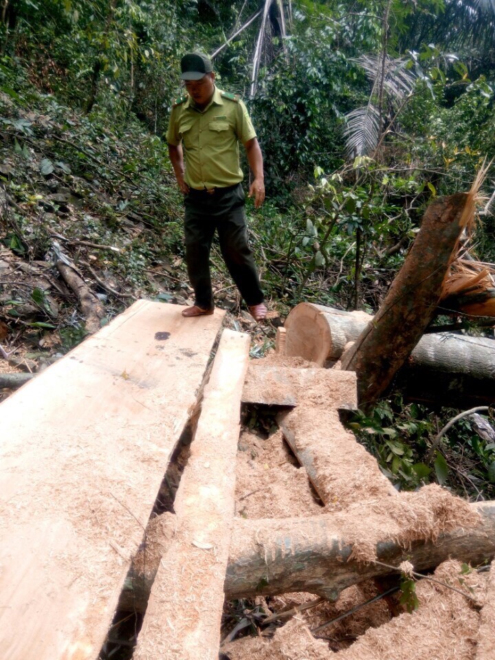 Truy bắt "lâm tặc" nhóm kiểm lâm bị kẹt trong rừng 9 ngày