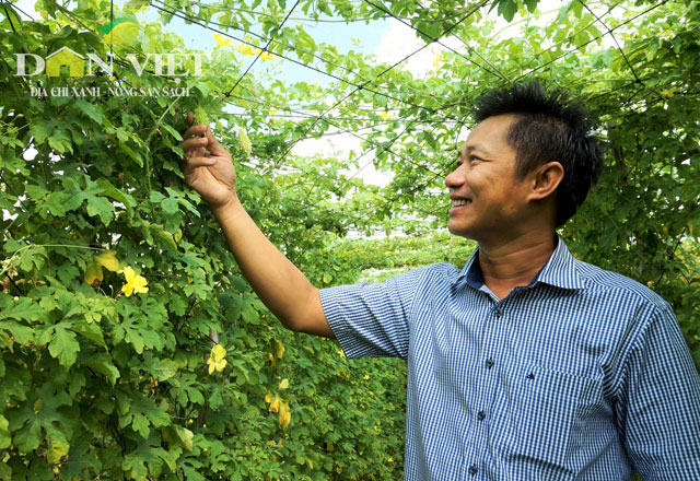 Thành công nhờ nhẫn nại