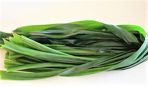 Lá dứa