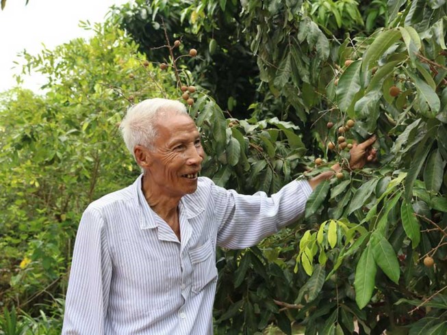 Khởi nghiệp ở tuổi... 90 - Ảnh 1.