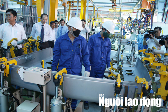 Hơn 180.000 cử nhân thất nghiệp - Ảnh 1.