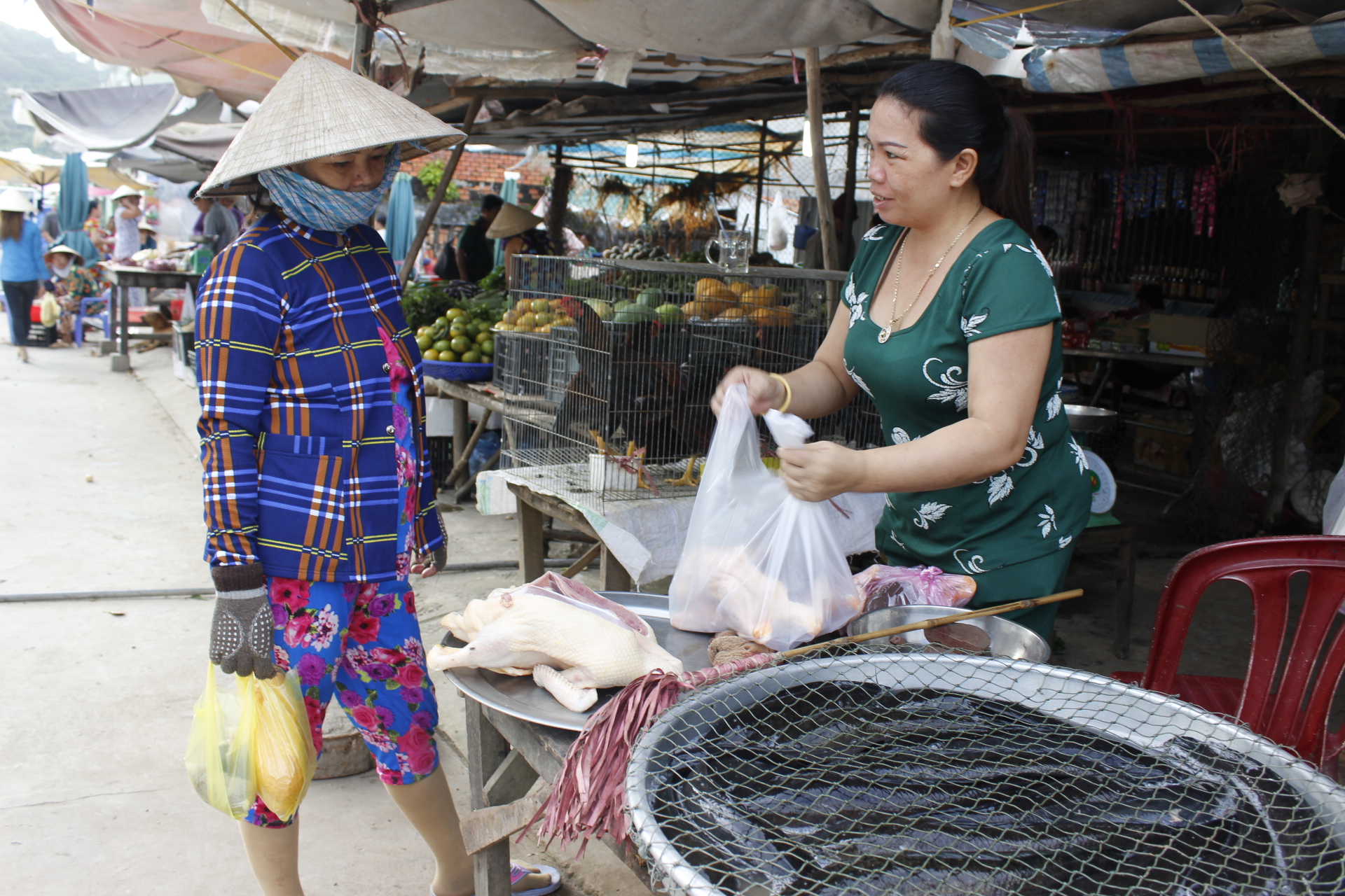 Ngày nay người dân đến Thổ Chu sinh sống đông đúc, chợ búa tấp nập, đời sống của người dân trên đảo được cải thiện nhiều.