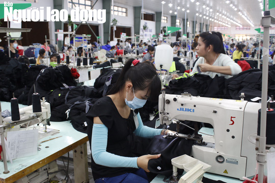 Quy định chi tiết quyền hạn, chức năng của thanh tra lao động - Ảnh 1.