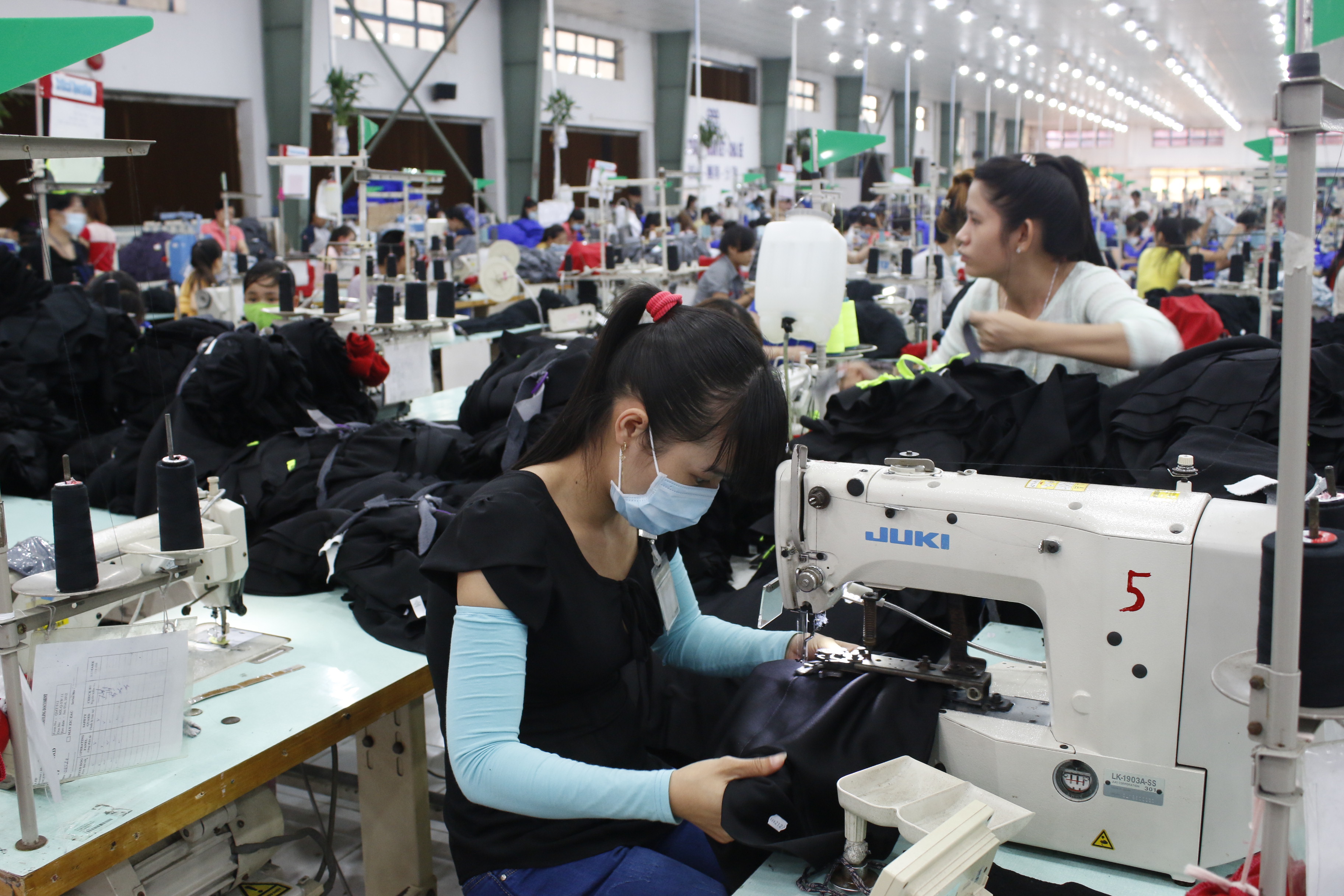 Quy định chi tiết quyền hạn, chức năng của thanh tra lao động