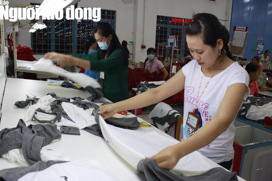 Truy thu gần 1.000 tỉ đồng nợ BHXH - Ảnh 1.