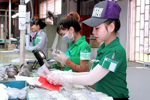 Tăng đối thoại, tạo thông hiểu