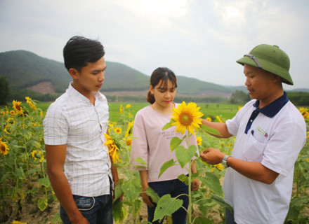 Tiến sĩ nông học cởi áo vest làm nông dân